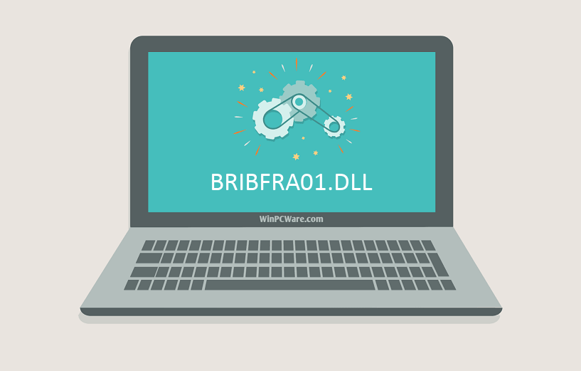 BRIBFRA01.DLL