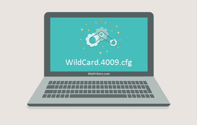 WildCard.4009.cfg